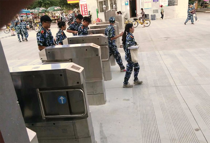 无刷摆闸 无刷摆闸