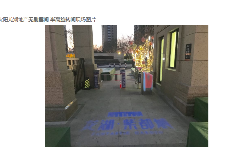 创新通分析三辊闸和摆闸的区别所在
